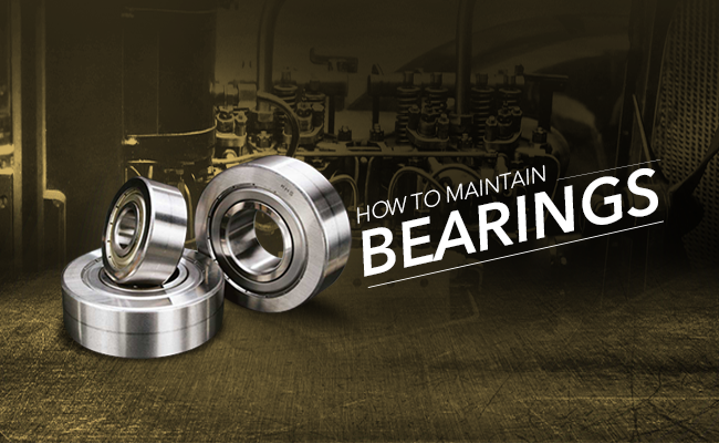 How to maintain bearings?